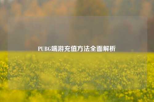 PUBG端游充值方法全面解析