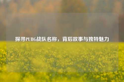 探寻PUBG战队名称,背后故事与独特魅力