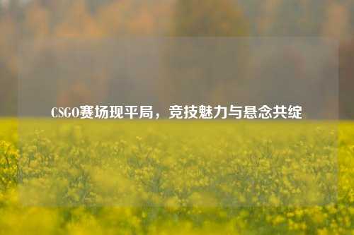 CSGO赛场现平局,竞技魅力与悬念共绽