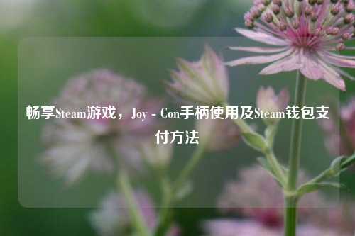 畅享Steam游戏,Joy - Con手柄使用及Steam钱包支付方法