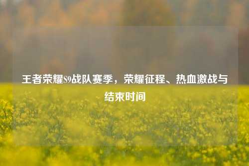 王者荣耀S9战队赛季,荣耀征程、热血激战与结束时间