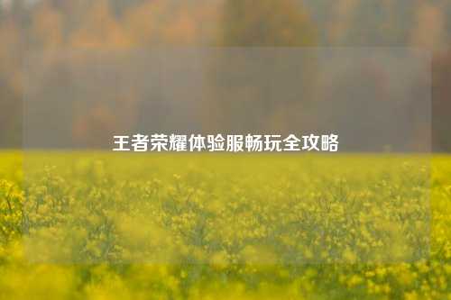 王者荣耀体验服畅玩全攻略