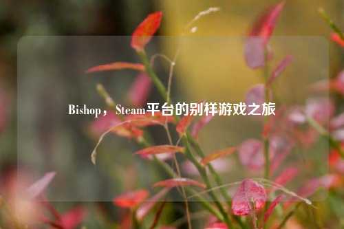 Bishop，Steam平台的别样游戏之旅