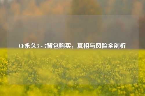 CF永久3 - 7背包购买,真相与风险全剖析