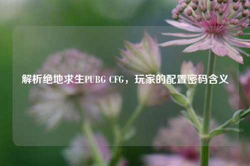 解析绝地求生PUBG CFG,玩家的配置密码含义