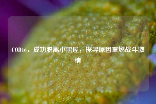 COD16，成功脱离小黑屋，探寻原因重燃战斗激情