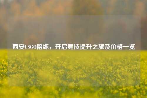 西安CSGO陪练,开启竞技提升之旅及价格一览