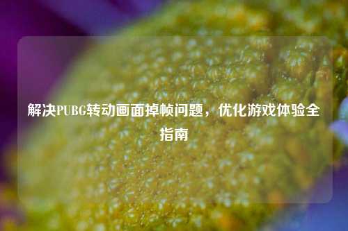 解决PUBG转动画面掉帧问题,优化游戏体验全指南