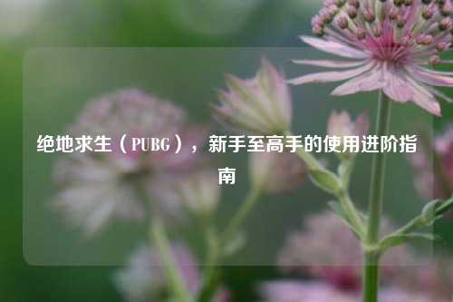 绝地求生（PUBG），新手至高手的使用进阶指南