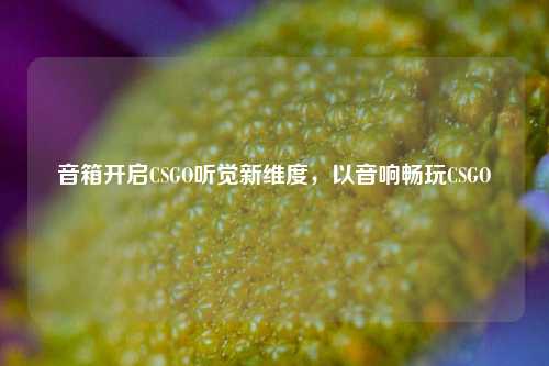音箱开启CSGO听觉新维度，以音响畅玩CSGO