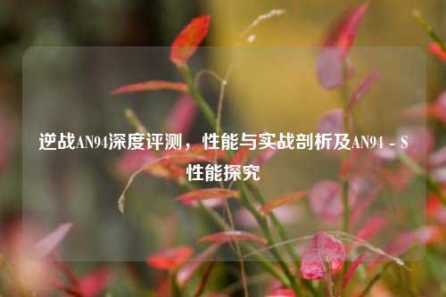 逆战AN94深度评测，性能与实战剖析及AN94 - S性能探究