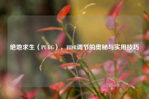 绝地求生(PUBG),HDR调节的奥秘与实用技巧