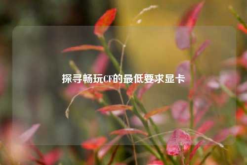 探寻畅玩CF的最低要求显卡