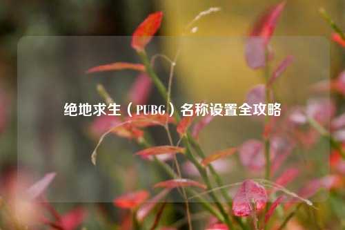 绝地求生(PUBG)名称设置全攻略