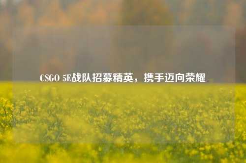 CSGO 5E战队招募精英,携手迈向荣耀