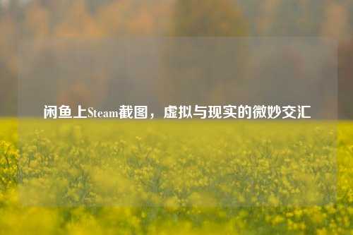 闲鱼上Steam截图,虚拟与现实的微妙交汇