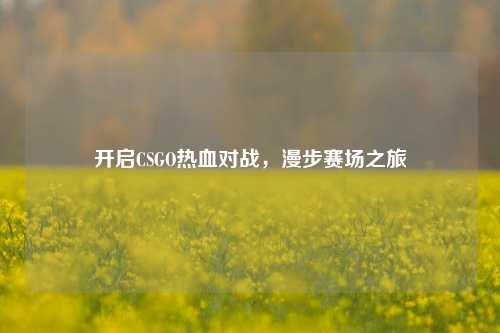 开启CSGO热血对战，漫步赛场之旅