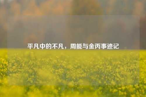 平凡中的不凡,周能与金丙事迹记