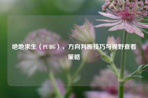 绝地求生(PUBG),方向判断技巧与视野查看策略