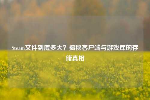 Steam文件到底多大?揭秘客户端与游戏库的存储真相