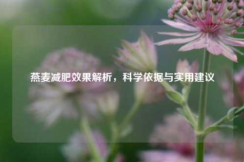 燕麦减肥效果解析,科学依据与实用建议