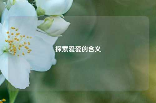 探索爱爱的含义