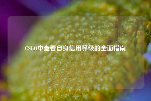 CSGO中查看自身信用等级的全面指南