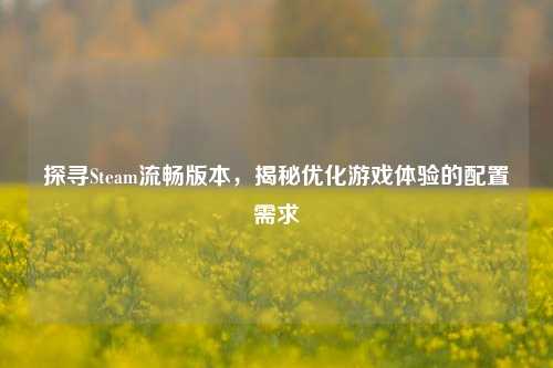 探寻Steam流畅版本,揭秘优化游戏体验的配置需求