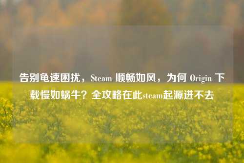 告别龟速困扰,Steam 顺畅如风,为何 Origin 下载慢如蜗牛?全攻略在此steam起源进不去