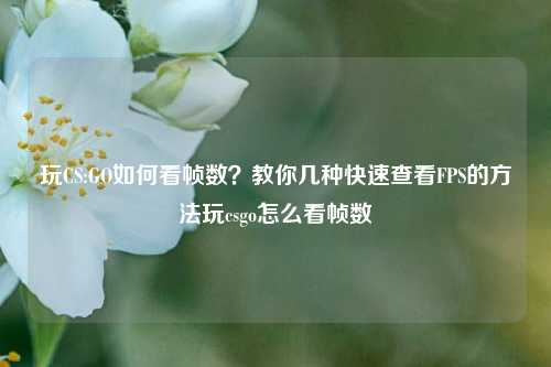 玩CS:GO如何看帧数?教你几种快速查看FPS的方法玩csgo怎么看帧数