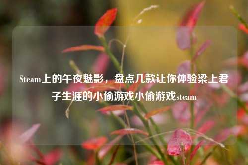 Steam上的午夜魅影,盘点几款让你体验梁上君子生涯的小偷游戏小偷游戏steam