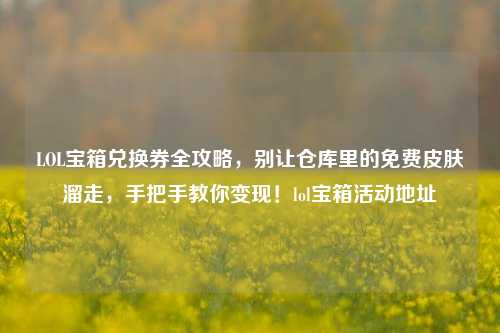 LOL宝箱兑换券全攻略,别让仓库里的免费皮肤溜走,手把手教你变现!lol宝箱活动地址