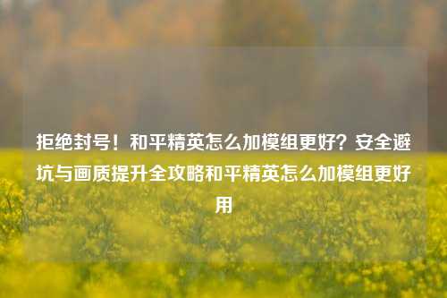 拒绝封号!和平精英怎么加模组更好?安全避坑与画质提升全攻略和平精英怎么加模组更好用