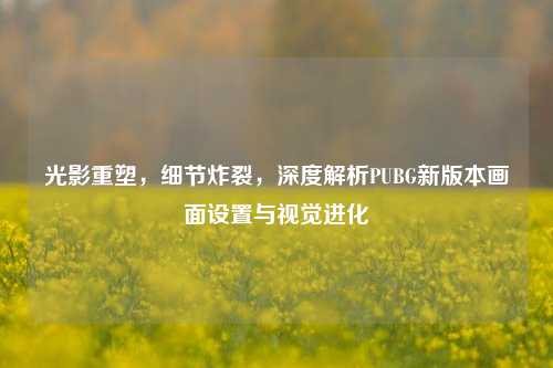 光影重塑，细节炸裂，深度解析PUBG新版本画面设置与视觉进化