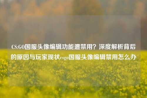 CS:GO国服头像编辑功能遭禁用?深度解析背后的原因与玩家现状csgo国服头像编辑禁用怎么办