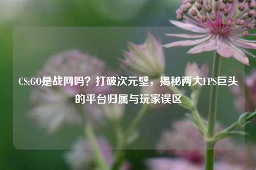 CS:GO是战网吗？打破次元壁，揭秘两大FPS巨头的平台归属与玩家误区