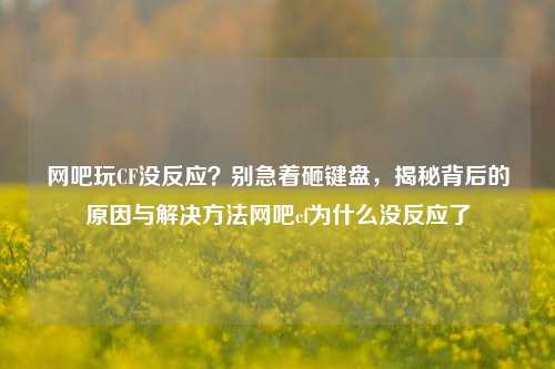 网吧玩CF没反应?别急着砸键盘,揭秘背后的原因与解决方法网吧cf为什么没反应了