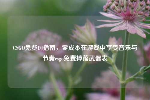 CSGO免费DJ指南,零成本在游戏中享受音乐与节奏csgo免费掉落武器表