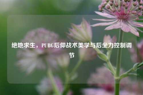 绝地求生，PUBG后仰战术美学与后坐力控制调节