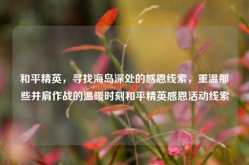 和平精英,寻找海岛深处的感恩线索,重温那些并肩作战的温暖时刻和平精英感恩活动线索