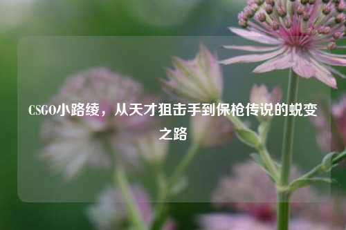 CSGO小路绫,从天才狙击手到保枪传说的蜕变之路