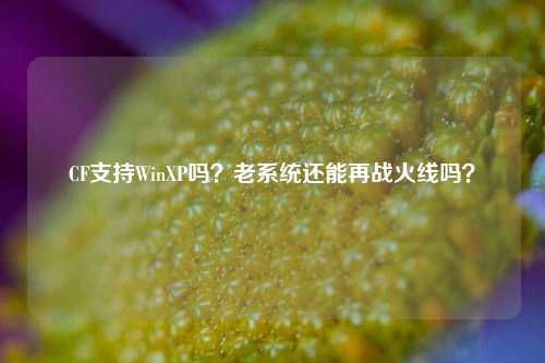CF支持WinXP吗？老系统还能再战火线吗？