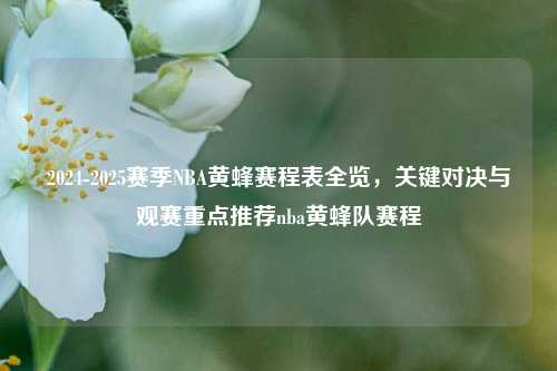 2024-2025赛季NBA黄蜂赛程表全览，关键对决与观赛重点推荐nba黄蜂队赛程