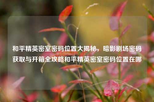 和平精英密室密码位置大揭秘,暗影剧场密码获取与开箱全攻略和平精英密室密码位置在哪