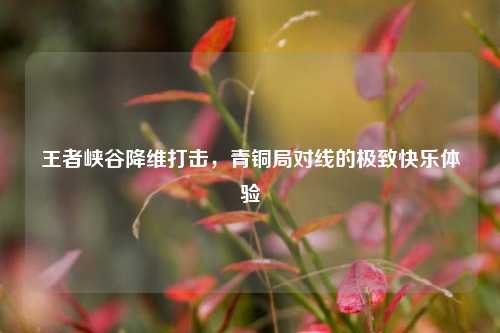 王者峡谷降维打击，青铜局对线的极致快乐体验