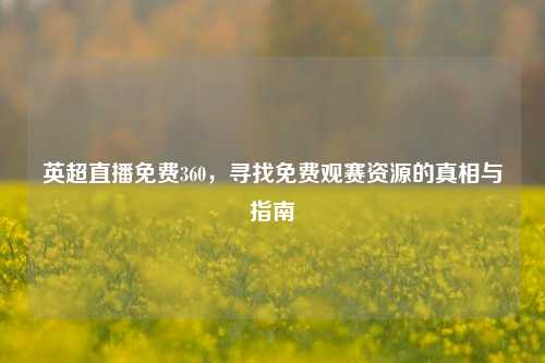 英超直播免费360,寻找免费观赛资源的真相与指南