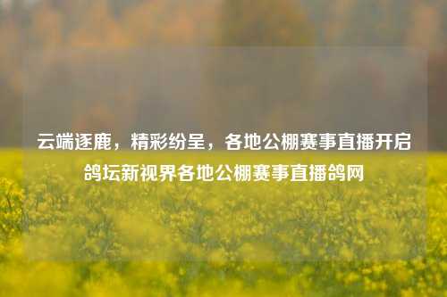 云端逐鹿,精彩纷呈,各地公棚赛事直播开启鸽坛新视界各地公棚赛事直播鸽网