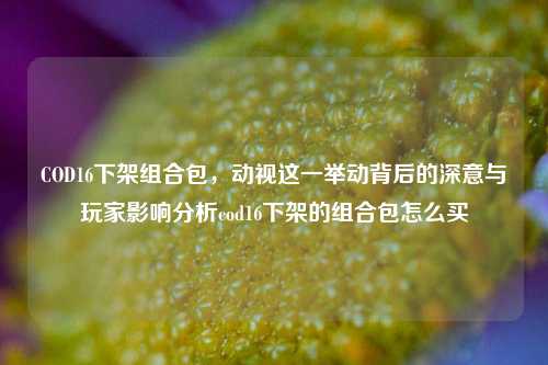 COD16下架组合包,动视这一举动背后的深意与玩家影响分析cod16下架的组合包怎么买