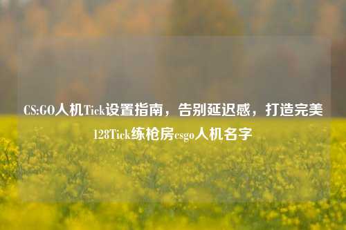 CS:GO人机Tick设置指南,告别延迟感,打造完美128Tick练枪房csgo人机名字