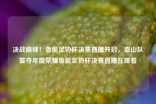 决战巅峰!鲁能足协杯决赛直播开启,泰山队誓夺年度荣耀鲁能足协杯决赛直播在哪看